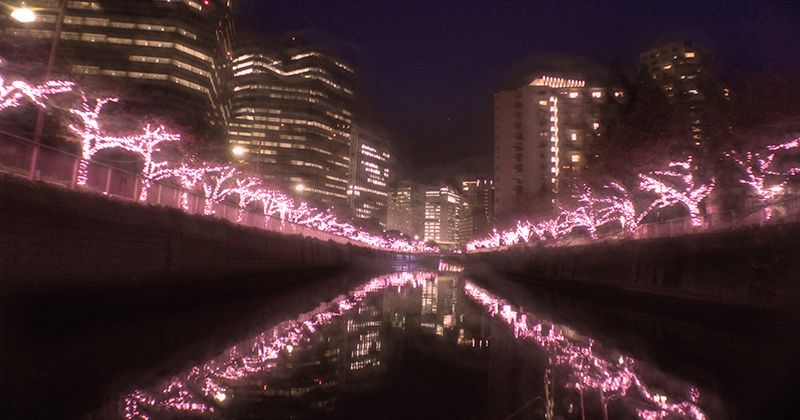[Meguro Illuminations 2018 for everyone in the river]Duration A boat for a fantastic light up that colors information & cherry blossom trees Cruising Enjoy at Meguro River illumination CHANDON Cruise 2018 