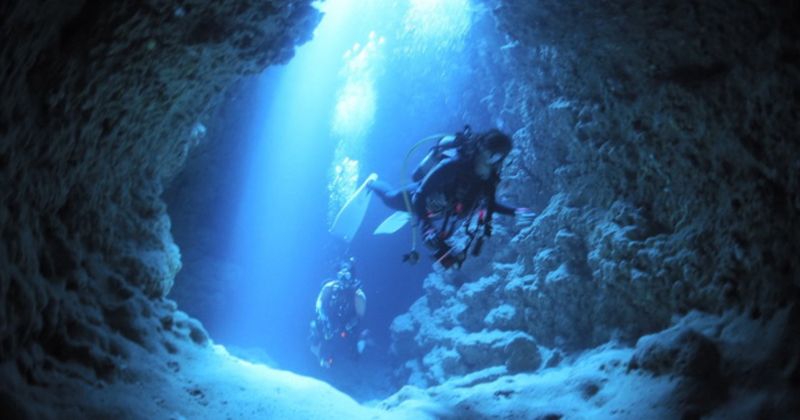 [Miyakojima Recommended] Beginners OK! Superb view boat diving plan is popular "Miyakojima diving service Islander Depot"