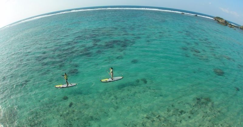 【糸満アクティビティおすすめ】SUP(スタンドアップパドルボード)や女性に人気のビーチヨガ体験を開催「ネイチャーサービス マハエ 糸満店」
