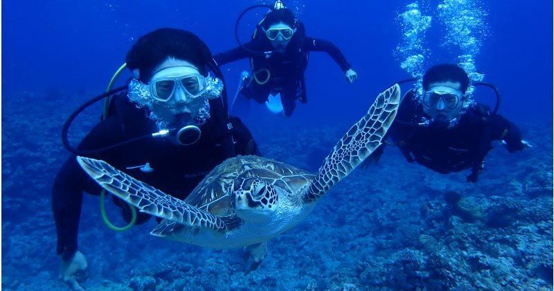 慶良間ブルー専用 THE NORTH FACE BROOKS RANGE（Early Type/MINT CONDITIONX-LARGE