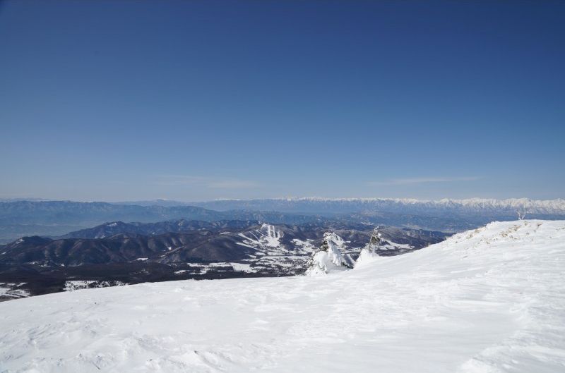 Nagano Sugadaira snow cat Recommended