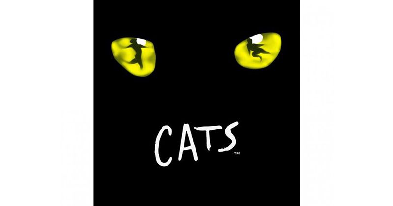 [Theatrical company four seasons musical cats] S seat appreciation Ticket& Restaurant Crull Lunch Buffet Plan Reservation reception During!