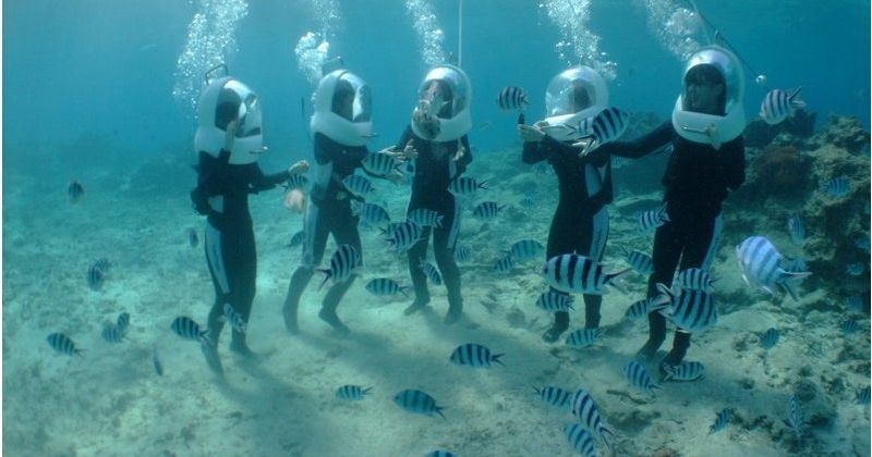 【沖縄本島おすすめショップ】体験ダイビング・シュノーケリング・シーウォークetc…人気ツアーを開催”藍色海洋」