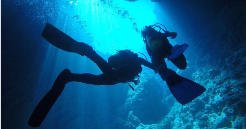 [Okinawa Blue Cave Recommended Store] If it's not fun, it's not play! Fully chartered tour is popular "Diving shop Nagomi"