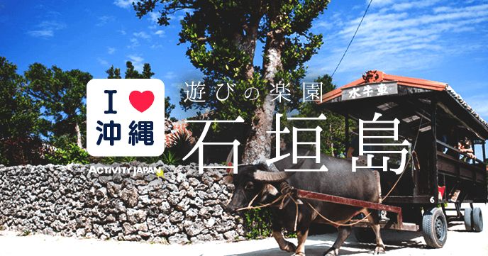 沖縄 石垣島 21年最新ツアー 体験 人気ランキング アクティビティジャパン