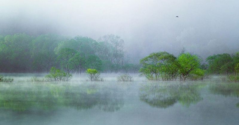 已取消 5 2 周六 1晚2天在山形县饭丰市饭町白河湖中淹没的森林和独木舟 女性 现年18岁 居住在大都市地区 Activity Japan