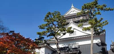 Let's have fun in Okazaki City, Aichi Prefecture, the hometown of Tokugawa Ieyasu! Introducing a variety of activities in Okazaki, from history and manufacturing to experiences and activities for the whole family!