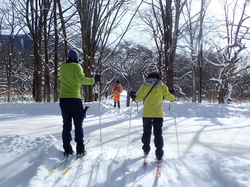 [Tochigi / Oku-Nikko Popular Shop] Held in February 4th year of Reiwa! Glide through the snowy fields of Oku-Nikko! Beginners welcome cross-country ski tour