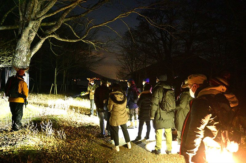 [Tochigi / Oku-Nikko popular shop] Highly recommended! Go by a temporary bus at night! Thorough introduction of Animal & Star Watching Night Tour!