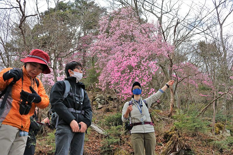 [栃木/奧日光人氣店]2022年4月～6月舉辦！介紹享受春天奧日光的自然導遊！