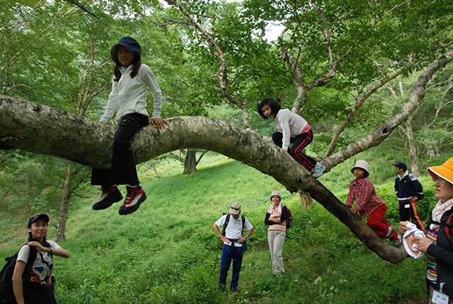 [Tochigi / Oku-Nikko popular shop] Highly recommended! Go by a temporary bus at night! Thorough introduction of Animal & Star Watching Night Tour!