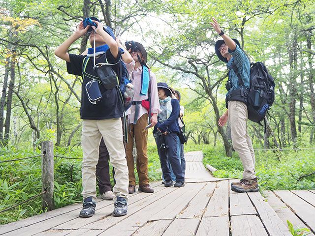 [Tochigi / Oku-Nikko popular shop] Highly recommended! Go by a temporary bus at night! Thorough introduction of Animal & Star Watching Night Tour!