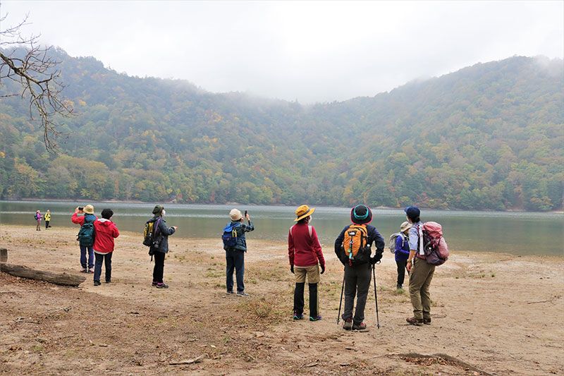 [Tochigi/Okunikko popular shop] Enjoy early winter from autumn leaves! A thorough introduction to the recommended nature guided tours held from October to December 2020!