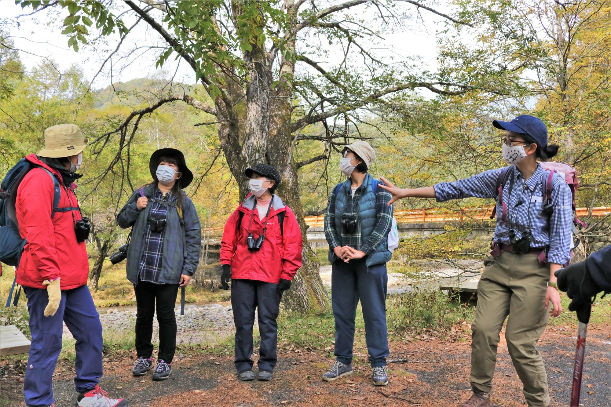 [Tochigi/Okunikko popular shop] Enjoy early winter from autumn leaves! A thorough introduction to the recommended nature guided tours held from October to December 2020!