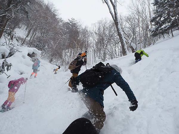 【栃木・奥日光人気ショップ】関東屈指のパウダースノーを満喫！令和5年1月〜3月開催のおすすめネイチャーガイドツアーを徹底紹介！