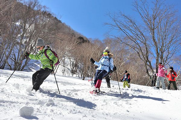 【栃木・奥日光人気ショップ】関東屈指のパウダースノーを満喫！令和5年1月〜3月開催のおすすめネイチャーガイドツアーを徹底紹介！