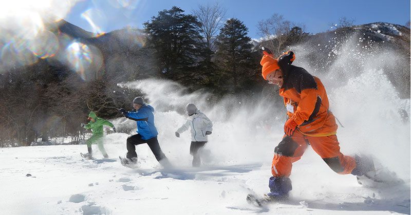 [Tochigi/Okunikko popular shop] Enjoy the best powder snow in Kanto! A thorough introduction to the recommended nature guided tours held from January to March 2023! Image of