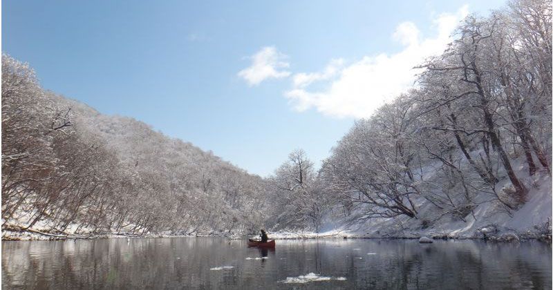 【北海道・千歳おすすめの体験】冬の大自然を満喫できるアクティビティツアーを徹底紹介！の画像