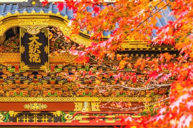 東京から日帰り　おすすめ観光地　日光／栃木　秋の日光東照宮