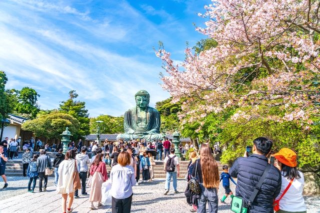 東京から日帰り　おすすめ観光地　鎌倉・江ノ島／神奈川　春の鎌倉大仏