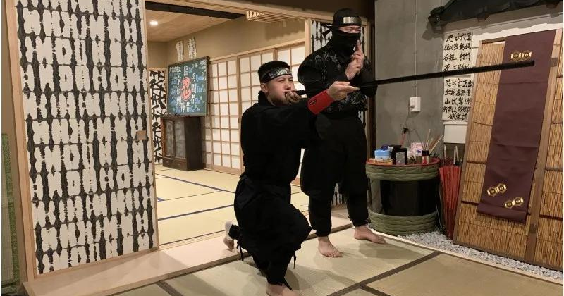 Ninja experience in a dojo