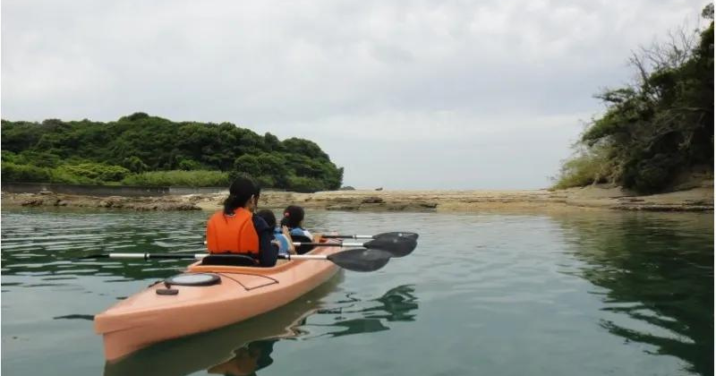 Exciting Water Adventures in Tanabe Bay