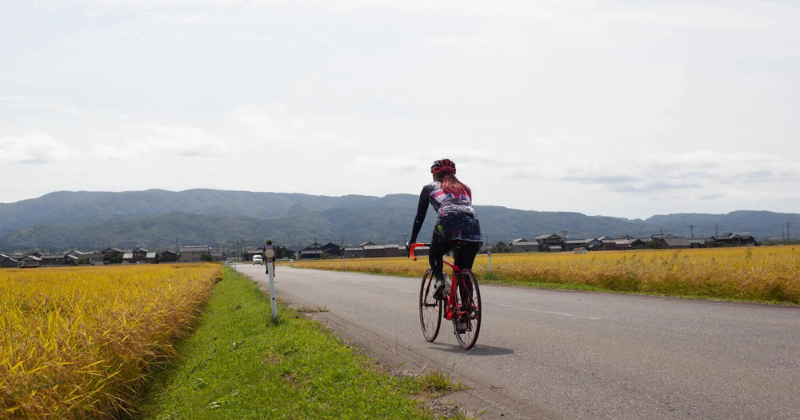 Experience the nature of Sado Island on a cycle in Niigata