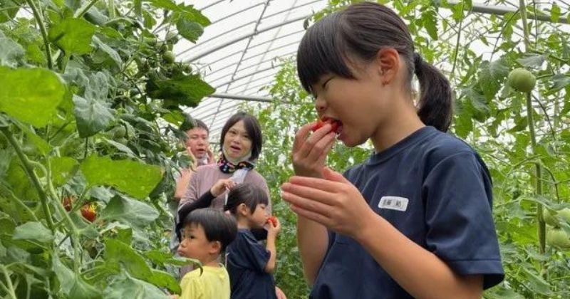 Farm experience for children