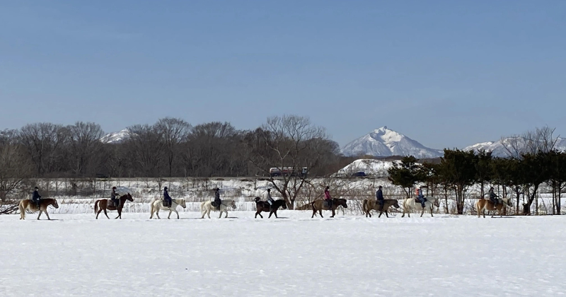 Horseback riding in Hokkaido through the snow
