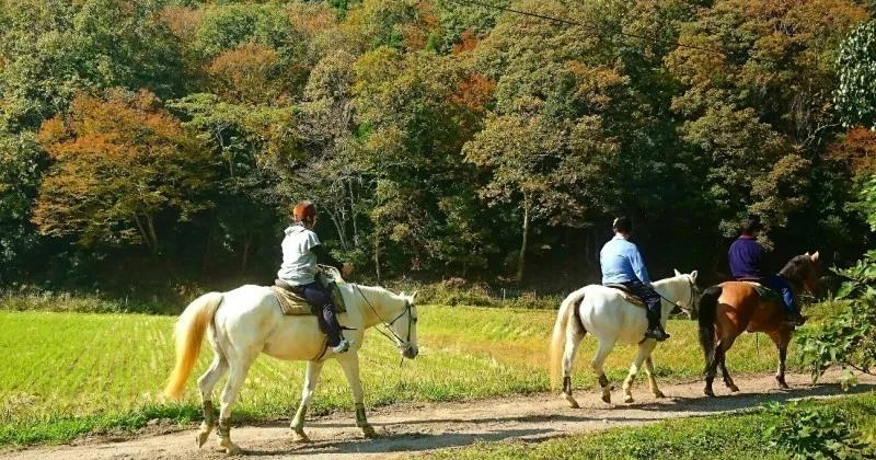 Horseback riding in Hyogo