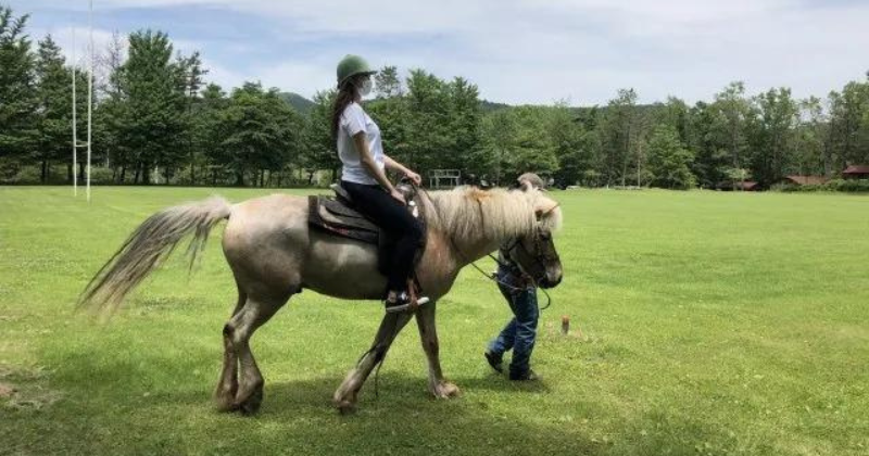 Horseback riding in Miyagi