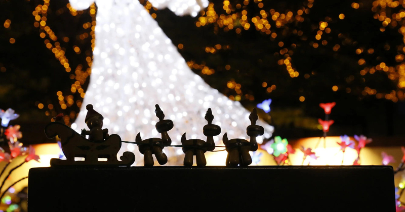 Illuminated Wonders: Sendai's Light Pageant