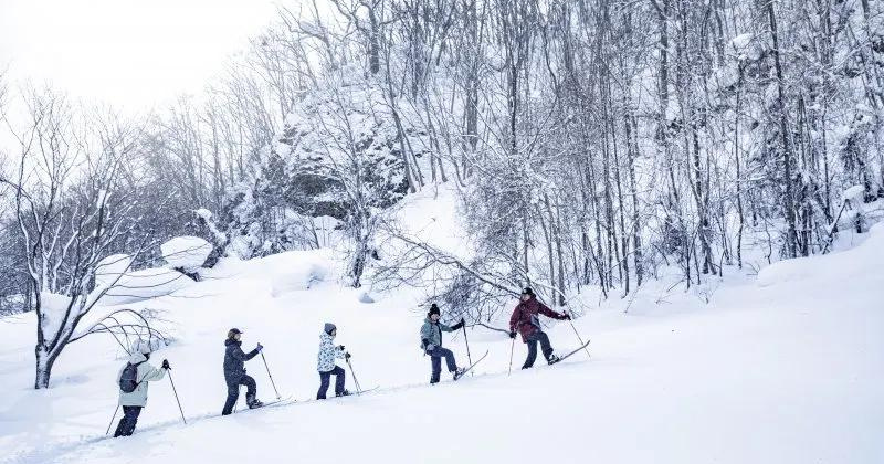 Jozankei's Winter Forest Exploration