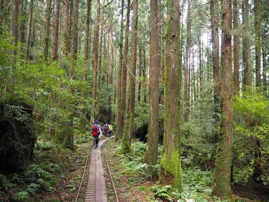 kagoshima tourism spot