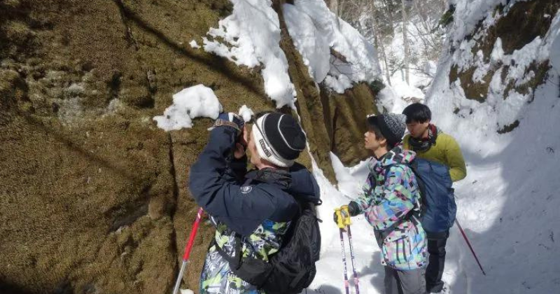 Lake Shikotsu's Moss Corridor Mysteries