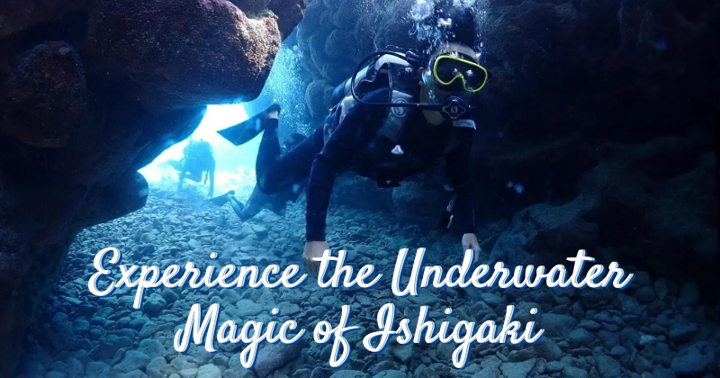 Experience the Underwater Magic of Ishigaki, Okinawa