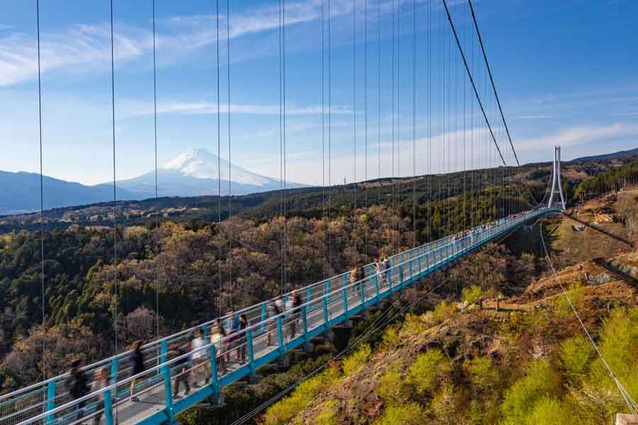 shizuoka travel itinerary