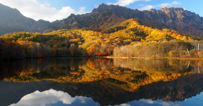 Nagano - Togakushi Kodo Pilgrimage Hiking