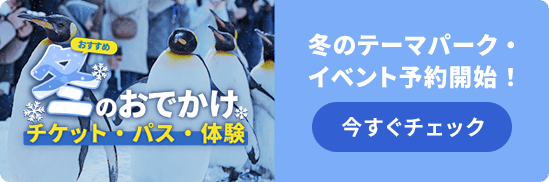 冬のおでかけはテーマパークがおすすめ