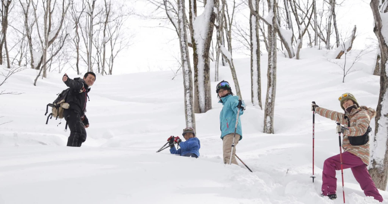 Niigata's White Blanket