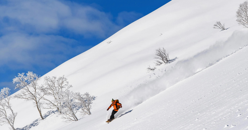 Niseko's Pristine Slopes