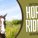 Outdoor horse riding adventures in Japan