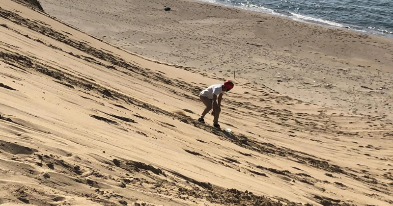 Sandboarding Down the Tottori Dunes