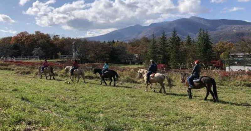 Scenic horseback riding picnic in Miyagi