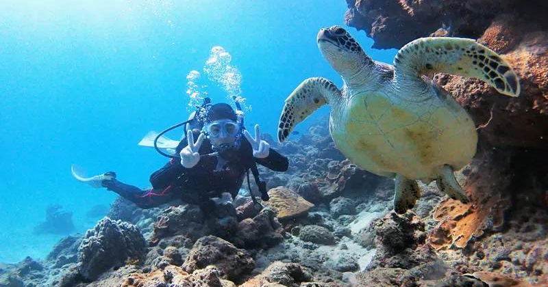 Scuba diving and Kayaking in Yakushima island