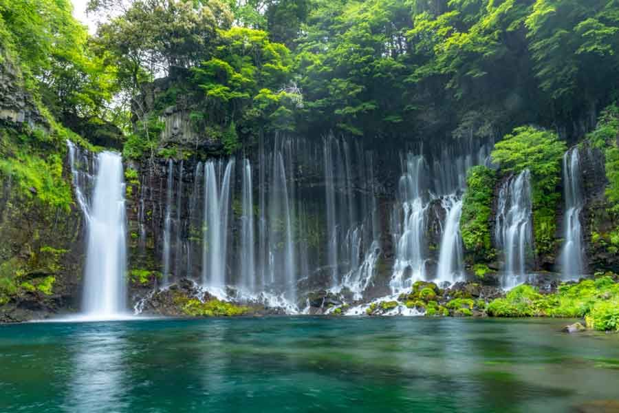 shizuoka tourist guide