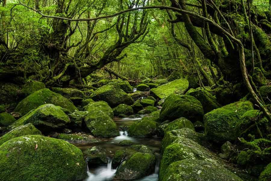 kagoshima tourism spot