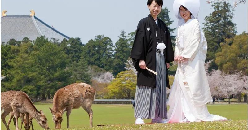 Sightseeing Tours at Nara Deer Park