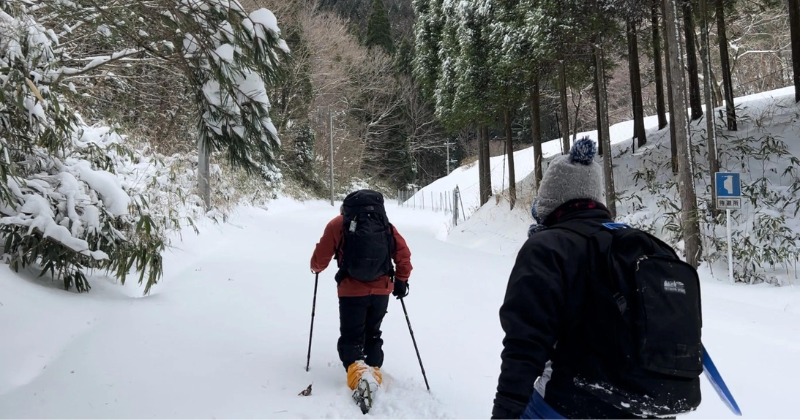 Snowy Escapades: Ogawadake Adventures in Takachiho