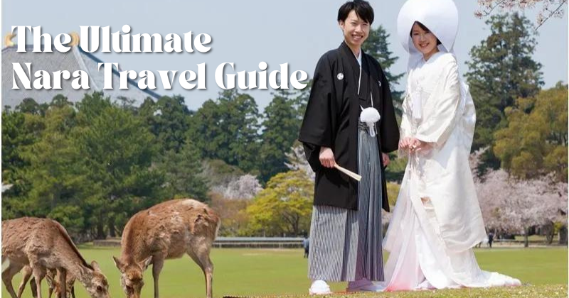 The Ultimate Nara Travel Guide_ Attractions, Food, and Authentic Japanese Experiences